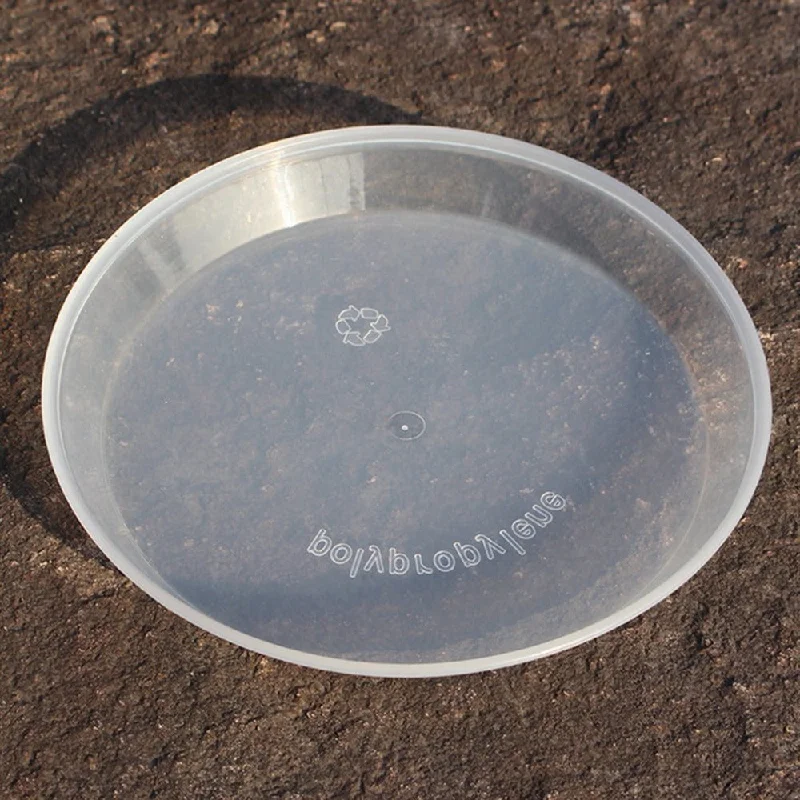 Mini Outdoor Tableware Dish Tableware Outdoor Tool Camping Picnic Hiking Plastic Transparent Travel Food Dish Plates Hot