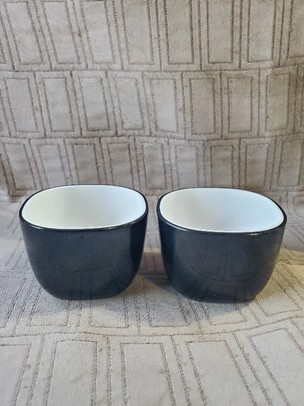 Pair of Crate and Barrel Melamine Dip Bowls